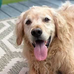 Meet your Posher, Susanne